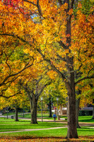 University of Illinois Quad in Fall